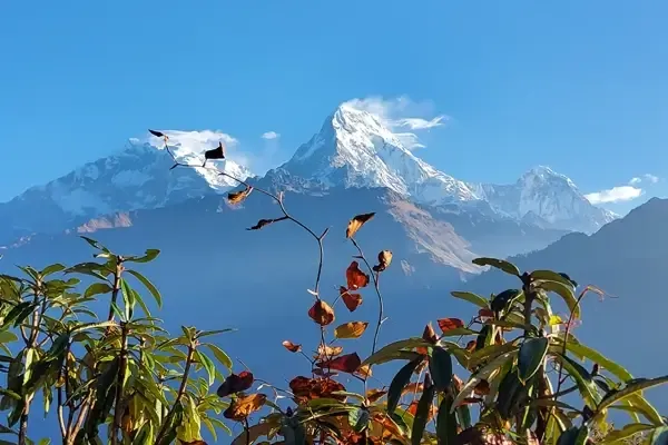 Annapurna